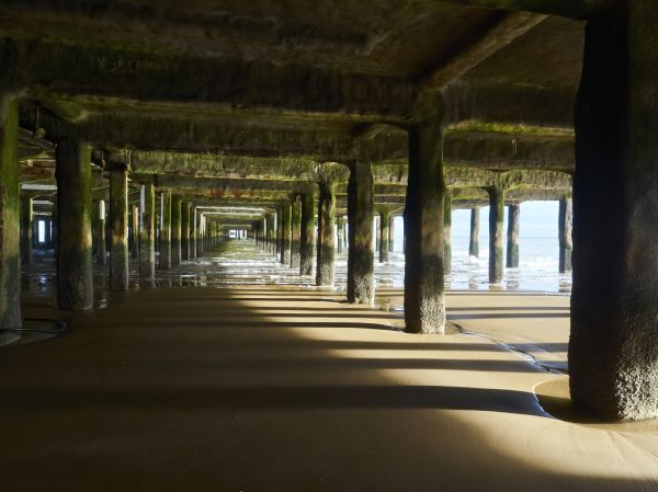Cost of Concrete Pier Repair in Seminole